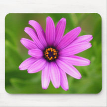 Purple Daisy mousepad