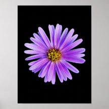 Purple Daisy on Black Customized DaisiesTemplate Poster