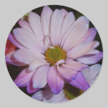 Purple Daisy stickers