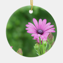 Purple Daisy, Single Ornament