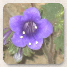 Purple Days Coasters