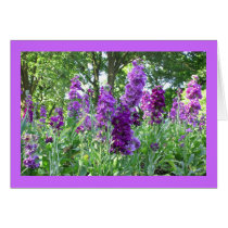 Purple Delphinium Cards