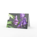 Purple Delphinium Greeting Card