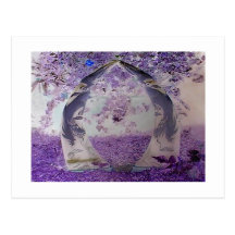 Purple Dragons Postcards