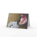 Purple finch Greeting Card