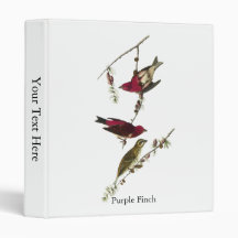 Purple Finch Vinyl Binder
