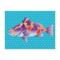 Purple Fish Post Card