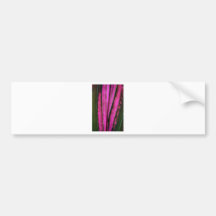 Purple flax bumper sticker