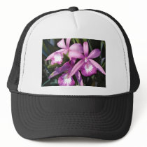 Purple Flock of Orchids