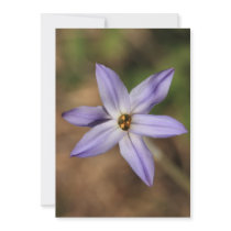 Purple Flora Invitations