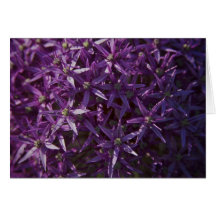 Purple Floral Bloom Blank Card