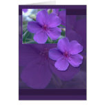 Purple Floral Elegance Greeting Cards