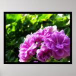 Purple Flower 2 Print