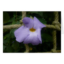 Purple flower and rope | Card