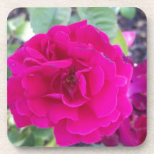 Purple flower beverage coaster