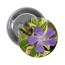 Purple Flower Buttons
