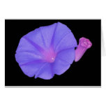 Purple Flower card
