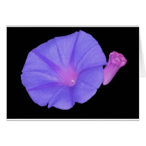 Purple Flower card