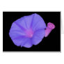 Purple Flower card