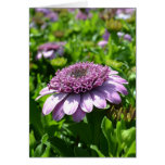 Purple Flower Card