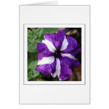 Purple Flower Card