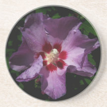Purple Flower Coaster