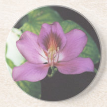 Purple Flower Coaster