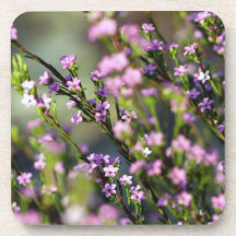 purple flower drink coasters