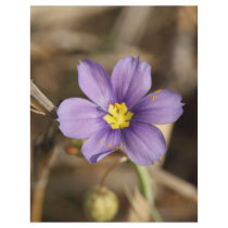 Purple Flower Flyers
