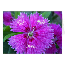 Purple Flower Get Well Card