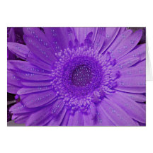 Purple Flower Greeting Card