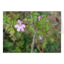 Purple flower greeting card