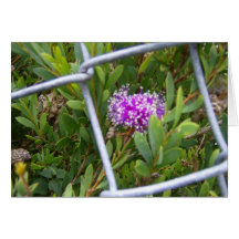 Purple Flower greeting card