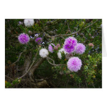 Purple Flower greeting card