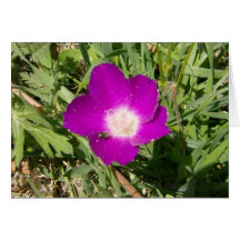 Purple Flower greeting card