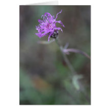 Purple Flower Greeting Card