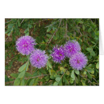 Purple Flower greeting card