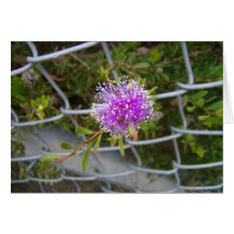 Purple Flower greeting card