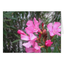 Purple Flower Greeting Greeting Cards