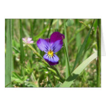 Purple Flower greeting & note cards