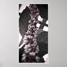 Purple Flower II Posters
