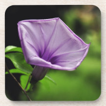Purple Flower on Green Background Drink Coasters