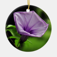 Purple Flower on Green Background Christmas Ornaments
