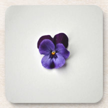 Purple flower on white background drink coaster