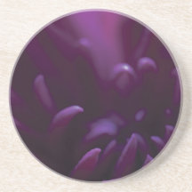 Purple Flower Photograph Beverage Coasters