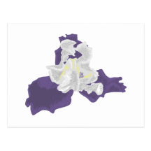Purple flower post cards