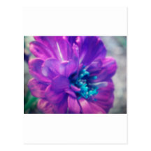purple flower postcard