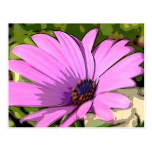 Purple Flower Postcards