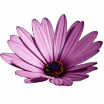 Purple flower sculpture photo sculptures