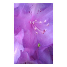 Purple Flower Stationery